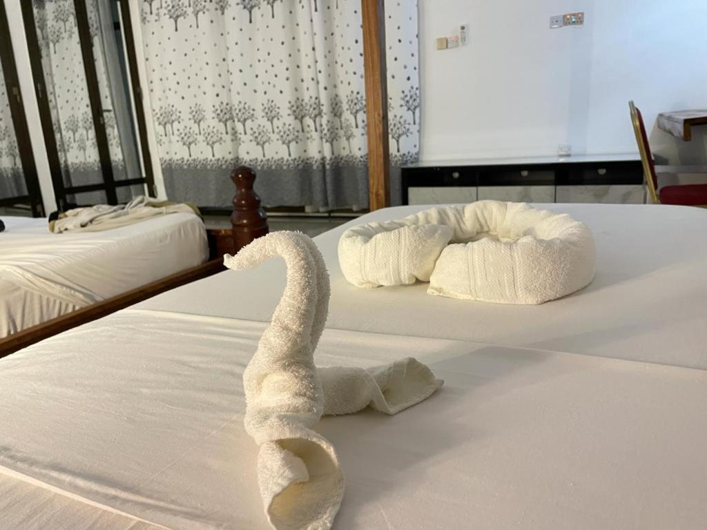 Jambo Beach Hotel パジェ エクステリア 写真