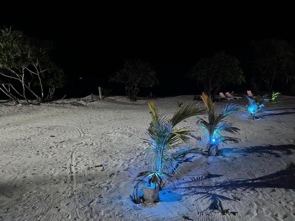Jambo Beach Hotel パジェ エクステリア 写真